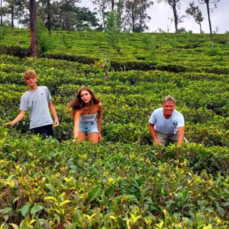 Kandy to Ella Drop: Optional Train Ride from Ambewela - Final Thoughts