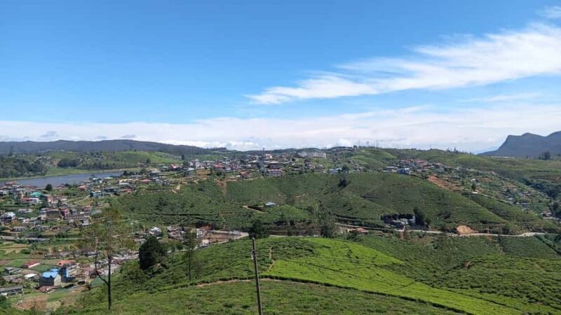 Kandy to Ella Drop: Optional Train Ride from Ambewela - Good To Know