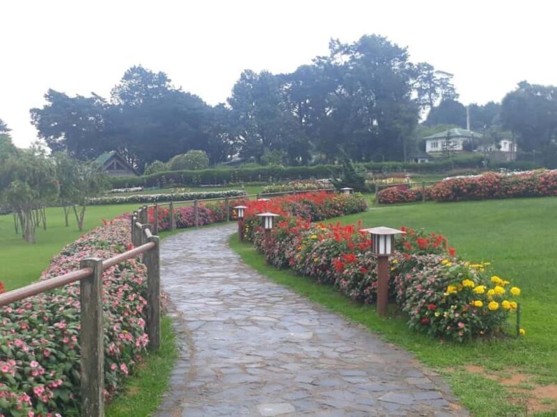 Kandy to Ella Drop: Optional Train Ride from Ambewela - The Sum Up