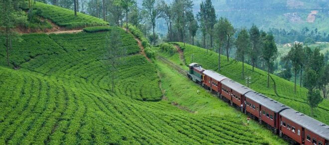 KANDY TO ELLA TRAIN TICKET 2ND Class Seat Journey - Booking Your Train Ticket