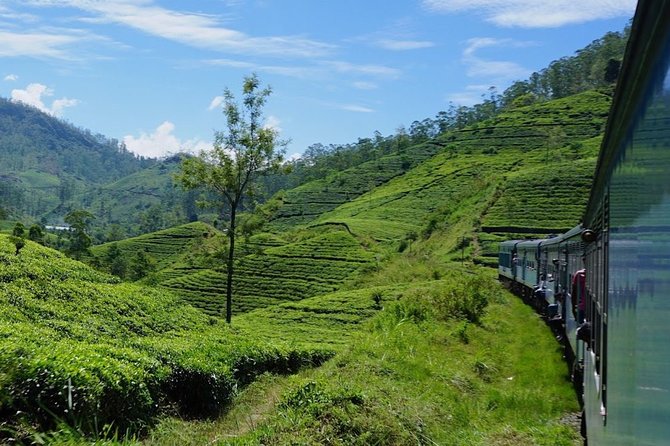 Kandy to Ella Train Tickets (2nd Class) - Pricing, Reviews, and Guarantees