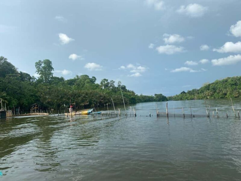 Kandy to Galle: Madu Ganga & Turtle Hatchery Tour - Practical Tips & Additional Insights  