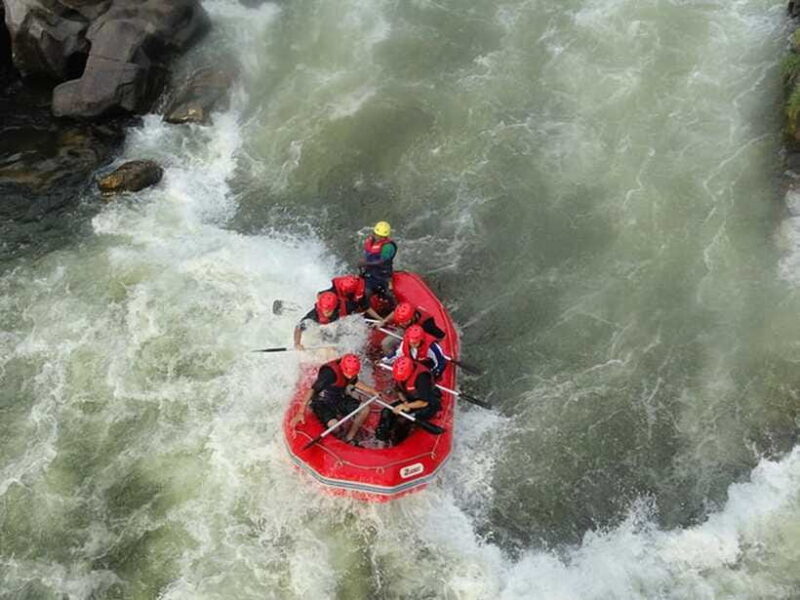 Kandy to Galle: Madu Ganga & Turtle Hatchery Tour - The Sum Up  