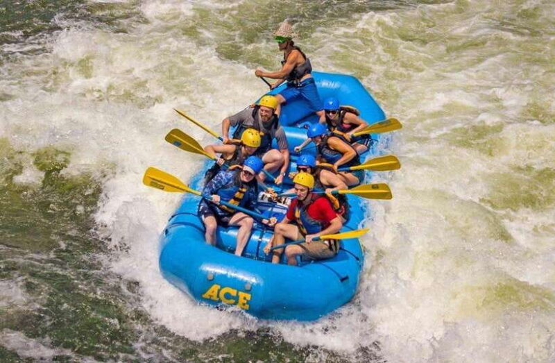 Kandy to Kithulgala White Water Rafting on the Kelani River - Good To Know