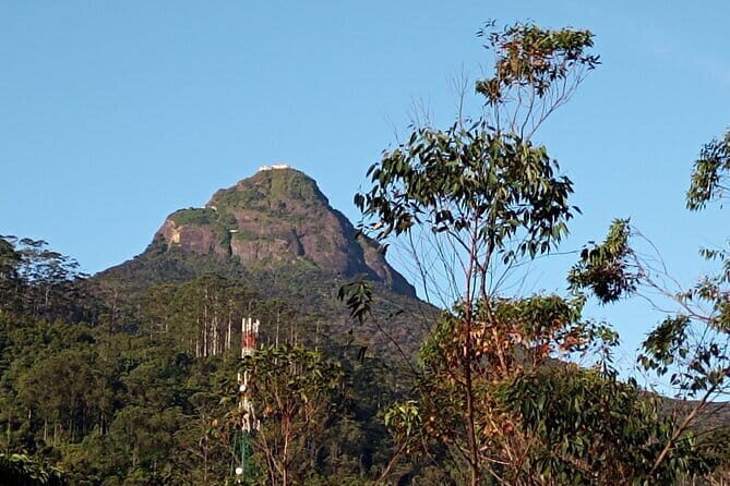 Kandy to Nallathanniya (Climb Adams Peak) - An In-depth Look at the Tour Experience