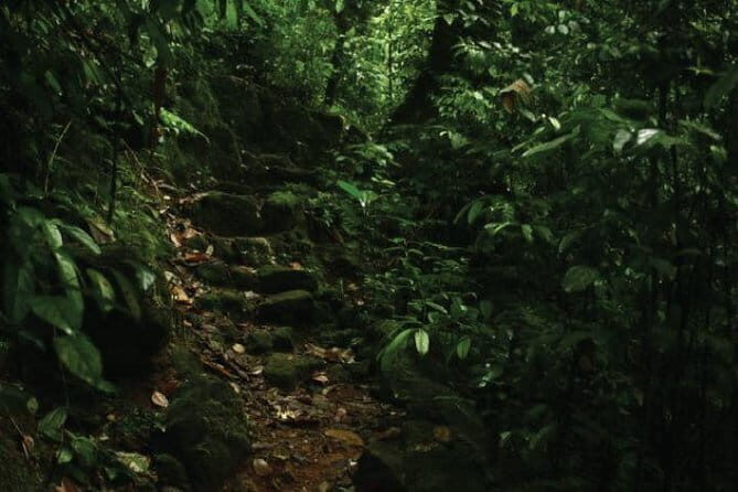 Kandy to Nallathanniya (Climb Adams Peak) - Additional Considerations