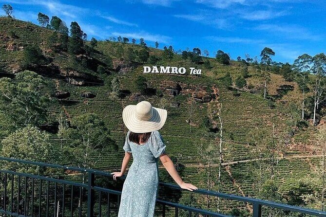 Kandy to Nanu Oya Shuttle & Nuwara Eliya Sightseeing Tour - Final Thoughts