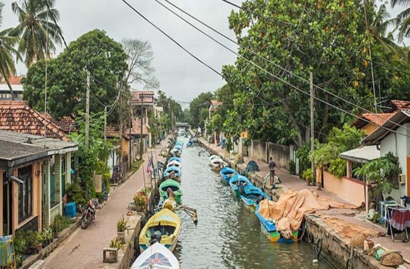 Kandy to Negombo: Sigiriya & Dambulla Day Trip - Good To Know