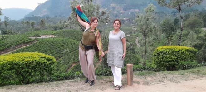Kandy to Nuwara Eliya and Ella Day Trip - Tips for Travelers
