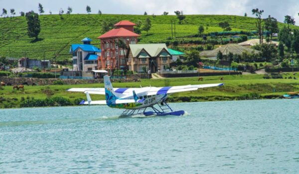 Kandy to Nuwara Eliya Day Tour by Tuk Tuk Sri Lanka - Common Questions