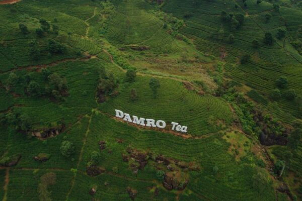 Kandy To Nuwara Eliya Drop Tour By Tuk Tuk Sri Lanka - Common Questions