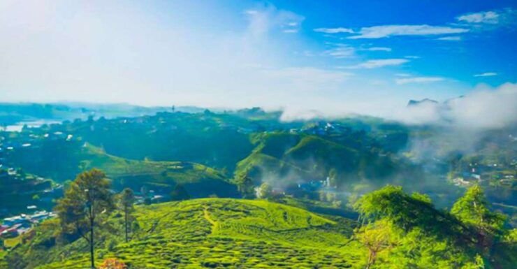 Kandy to Nuwara Eliya: Full Day Tour With Lunch - Free Cancellation and Flexible Reservations
