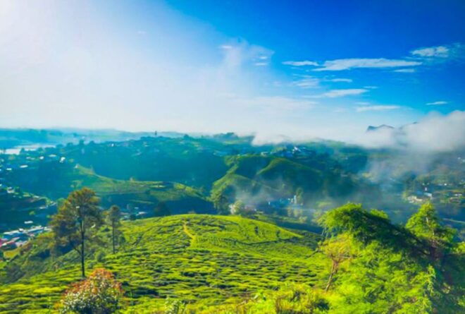 Kandy to Nuwara Eliya: Full Day Tour With Lunch - Marvel at Ramboda Falls