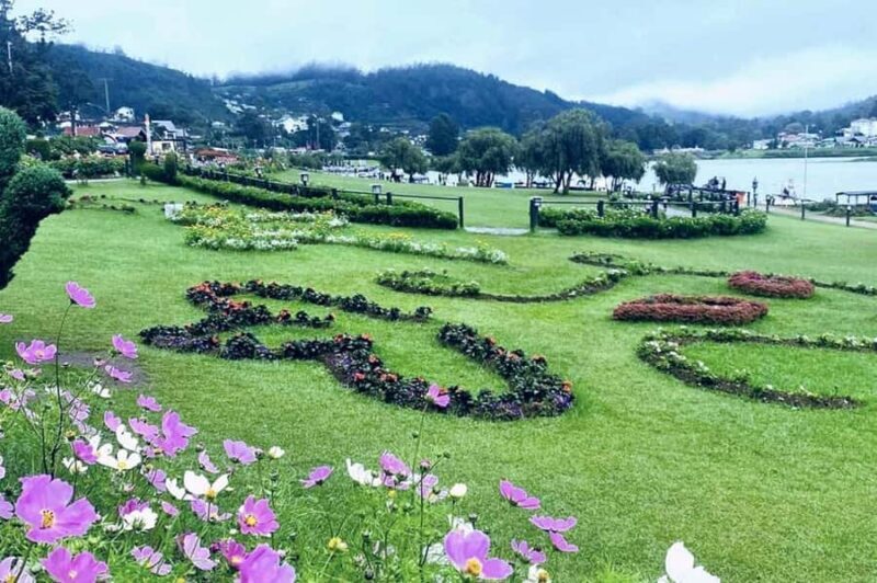 Kandy to Nuwara Eliya Guided Day Tour by Local - Good To Know