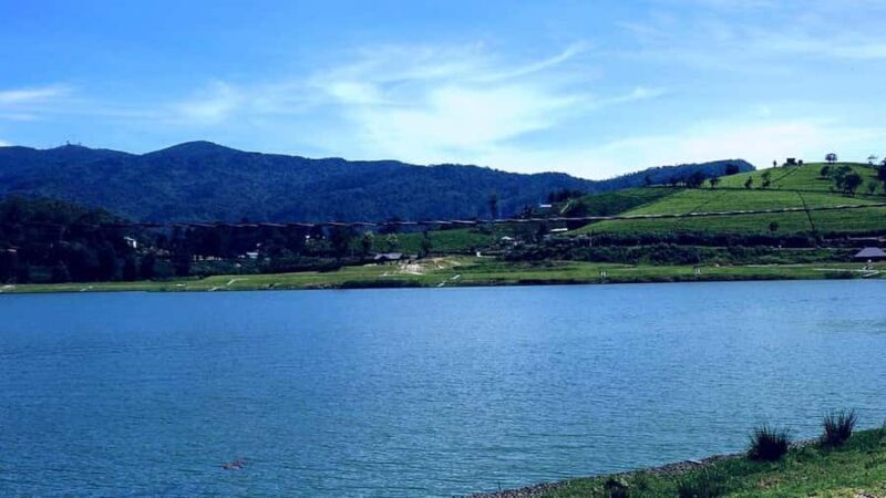 Kandy to Nuwara Eliya Guided Day Tour by Local - Practical Details: Transportation, Duration, and Cost