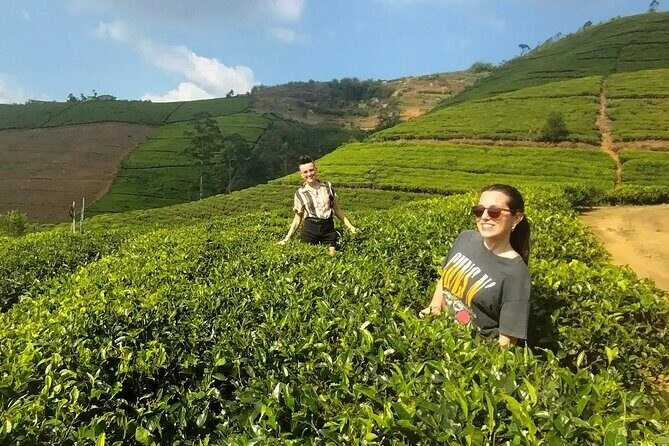 Kandy to Nuwara Eliya Private Day Tour: Tea Factory& Gregory Lake - Exploring the Kandy to Nuwara Eliya Private Day Tour: Tea Factory & Gregory Lake