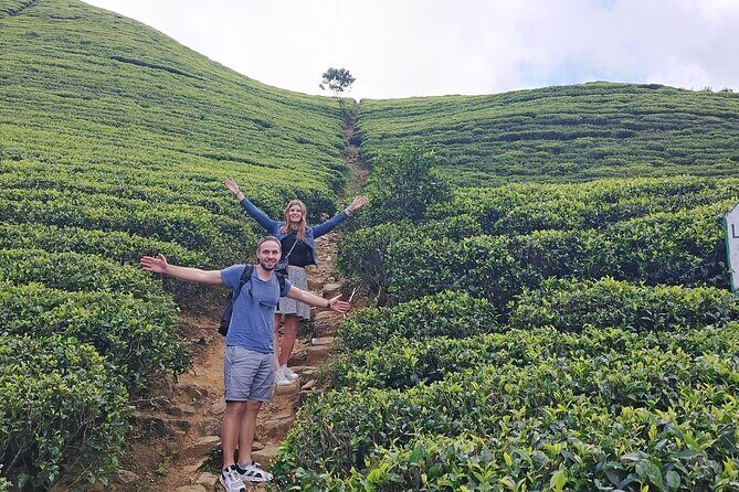 Kandy to Nuwara Eliya Private Day Tour: Tea Factory& Gregory Lake - Authentic Experiences & Insider Tips