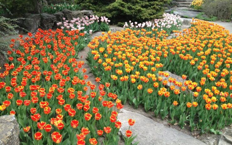 Kandy To Nuwara Eliya Return Tour By Tuk Day Tour - Tour Highlights