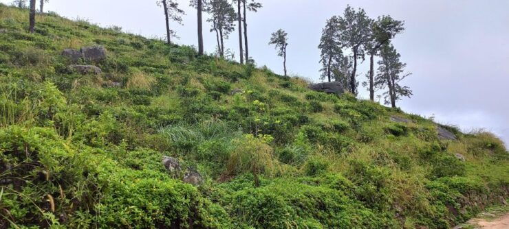 Kandy to Nuwaraeliya 3D Trekking Pekoe Trails Stage 1-2-&-3 - Trail Overview