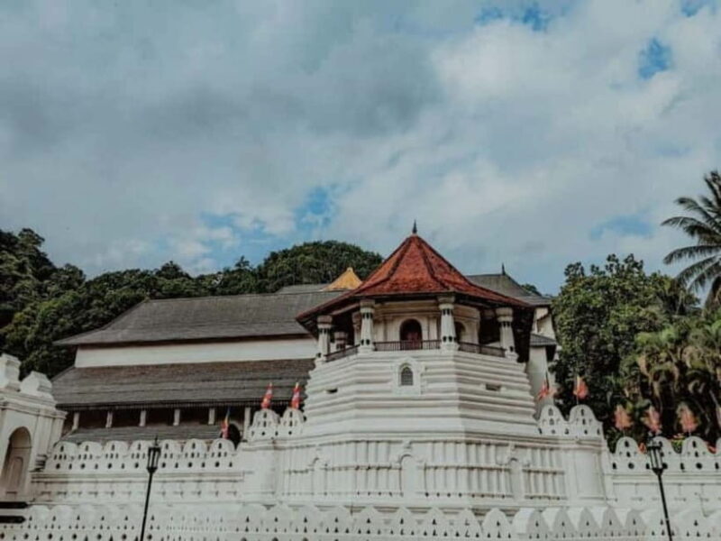 Kandy to Pinnawala Guided Day Tours by Local - Guides and Personal Touch