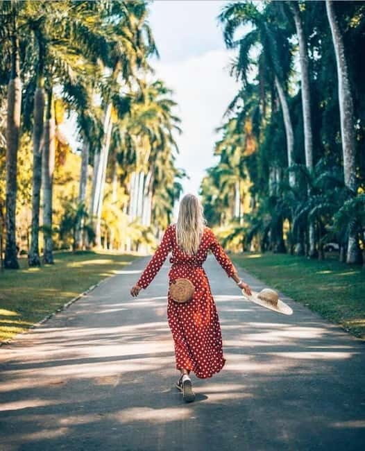 Kandy to Pinnawala Guided Day Tours by Local - Good To Know