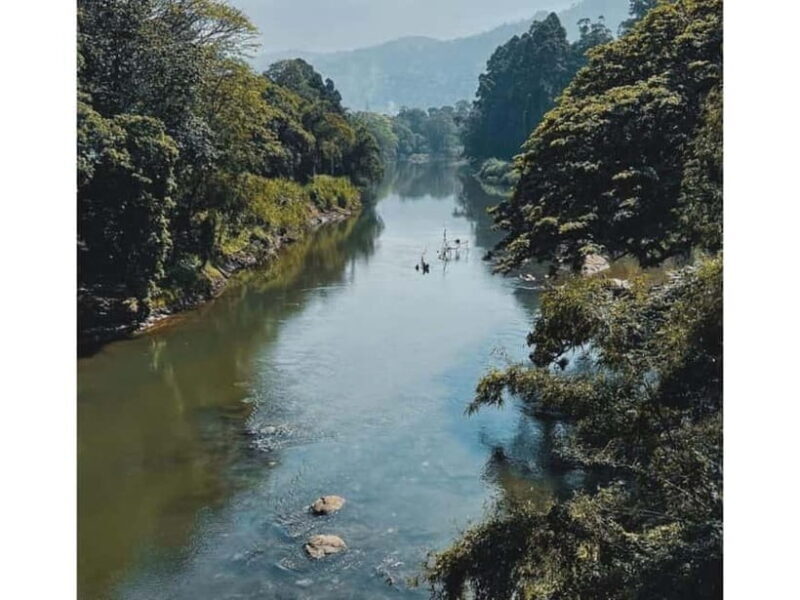 Kandy to Pinnawala Guided Day Tours by Local - Authentic Experiences & Local Tips