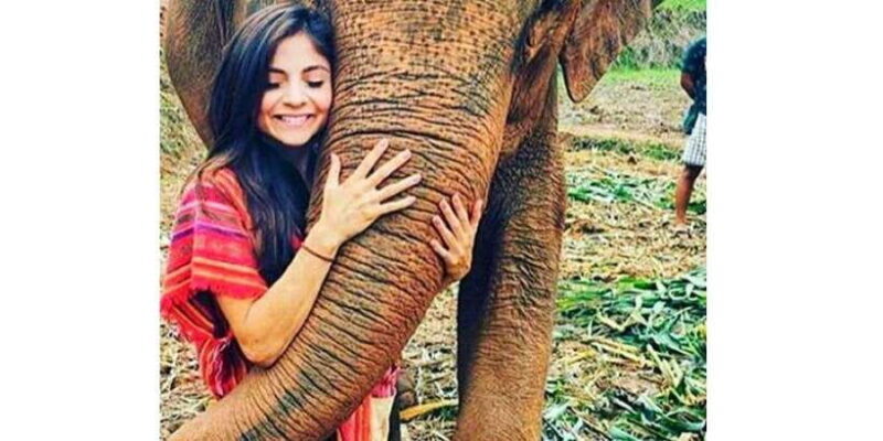 Kandy to Pinnawala Guided Day Tours by Local - FAQs