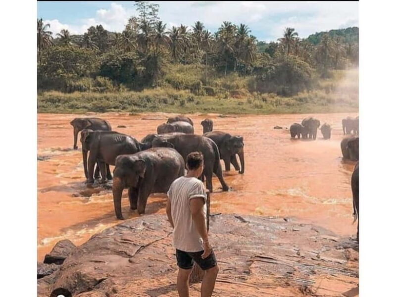 Kandy to Pinnawala Guided Day Tours by Local - Final Thoughts