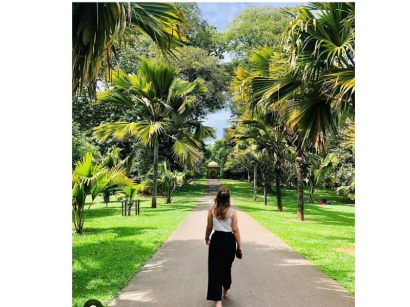 Kandy to Pinnawala Orphanage and Ambuluwawa Guided Day Tours - Who Should Consider This Tour?