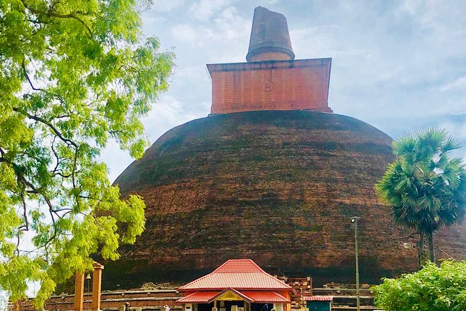 Kandy to Polonnaruwa Day Tour - Tour Overview