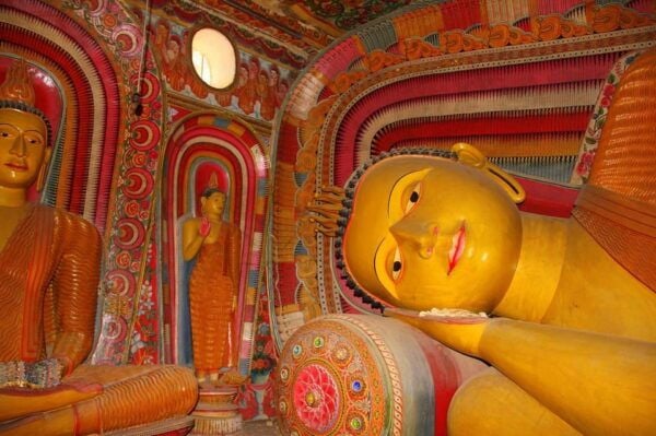 Kandy to Sigiriya and Dambulla Day Trip - Travel Tips