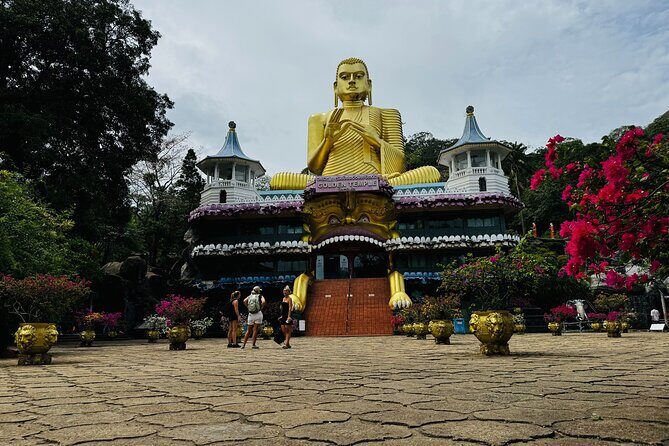Kandy to Sigiriya Dambulla and Safari Private Day Tour - The Cost and Its Implications