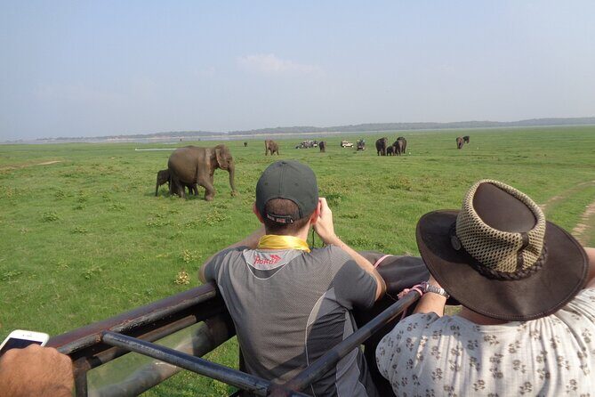 Kandy to Sigiriya Dambulla and Safari Private Day Tour - Final Thoughts