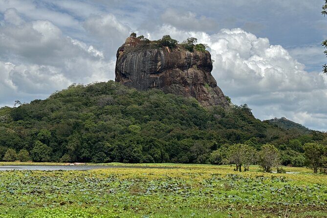 Kandy to Sigiriya Dambulla and Safari Private Day Tour - FAQ