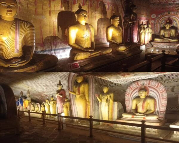 Kandy to Sigiriya & Dambulla Private Day Tour - Frequently Asked Questions