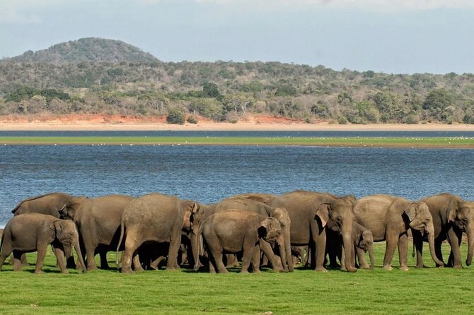 Kandy to Sigiriya & Dambulla Tour (Lunch Included) - Important Tips