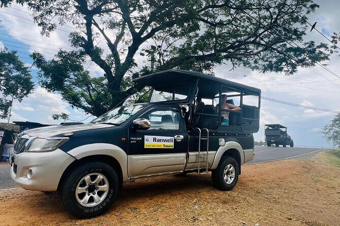 Kandy to Sigiriya Dambulla & Wildlife with Ranweli Tours (group) - Value for Money — Is It Worth It?