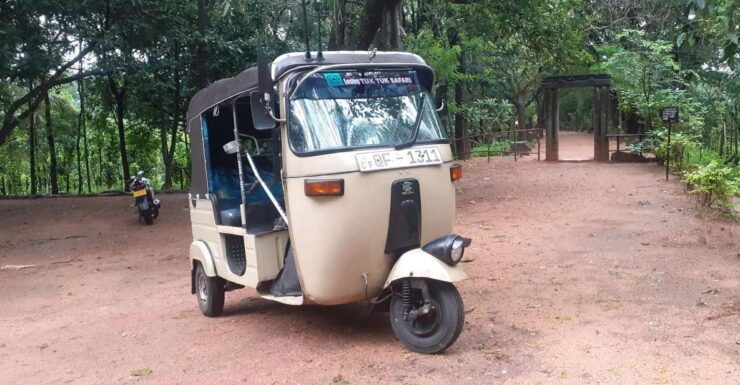 Kandy to Sigiriya Day Tour - Booking Details