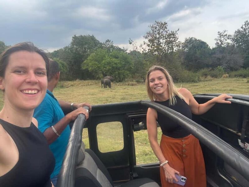 Kandy To Sigiriya Day Tour With Minneriya Safari - Who Would Love This Tour?