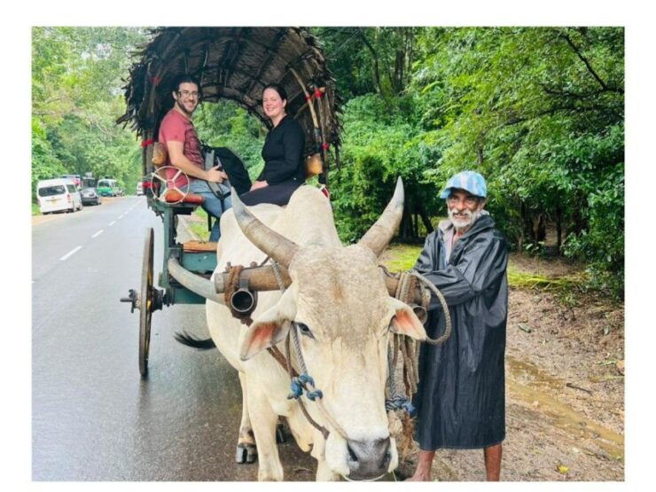 Kandy to Sigiriya Day Tours Tuk Tuk by Local - Cultural Experiences Highlights
