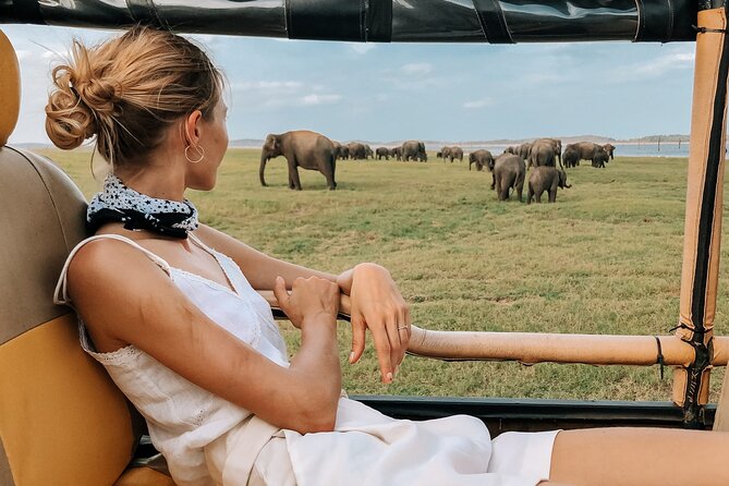 Kandy to Trincomalee Shuttle & Safari Drive - Booking and Pricing Information