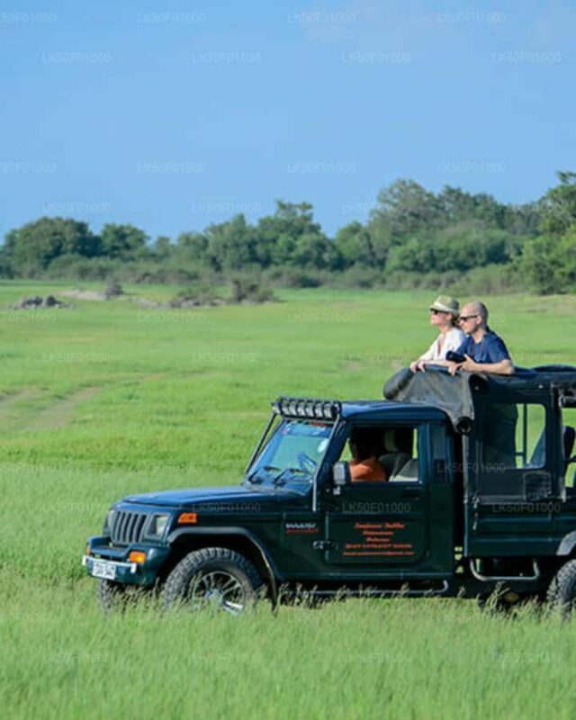 Kandy to Wilpattu Day Tour - Visiting Famous Places - Good To Know