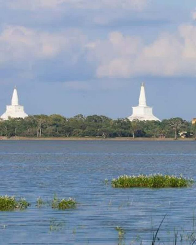 Kandy to Wilpattu Day Tour - Visiting Famous Places - Who Would Love This Tour?