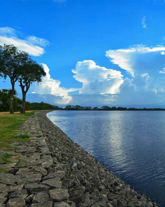 Kandy to Wilpattu Day Tour - Visiting Famous Places - FAQs