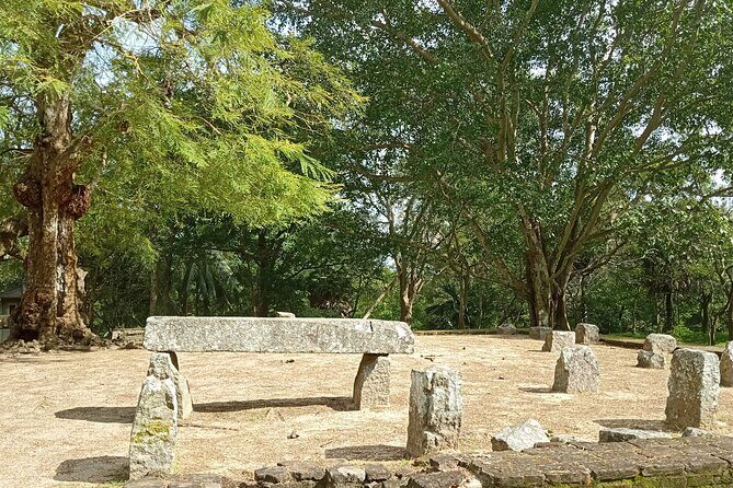 Kandy to Yapahuwa and Namal Uyana Day Tour - Final Thoughts