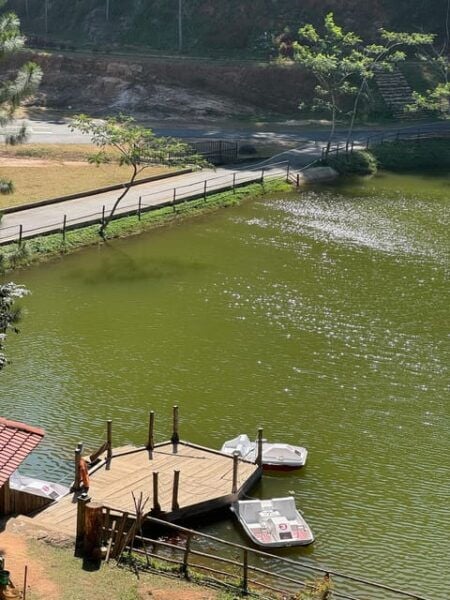 Kandy: Tour With Local Guide-Scooter,City Around Local Areas - Customizing Your Experience