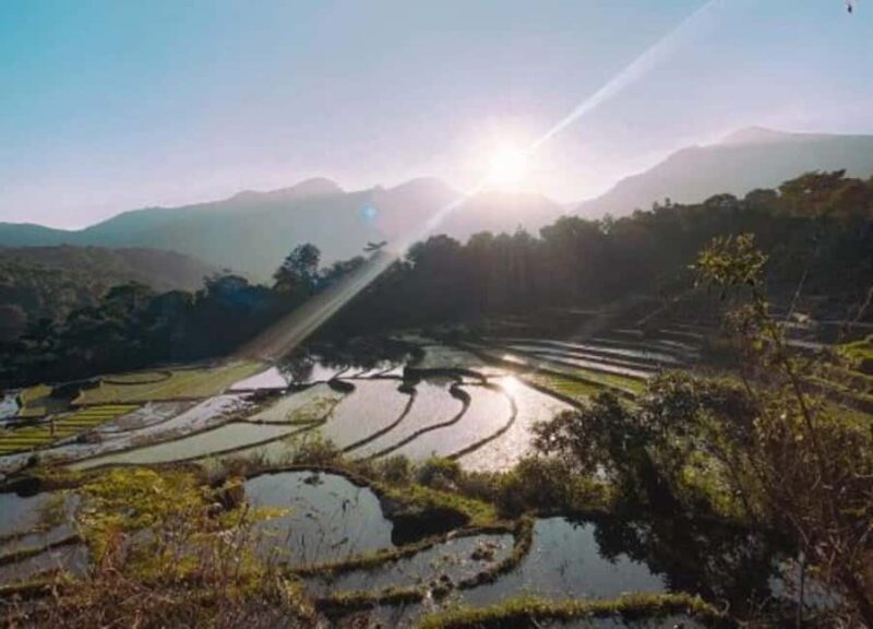 Kandy: Traditional Village Tour with Authentic Experience - What this tour means for travelers  