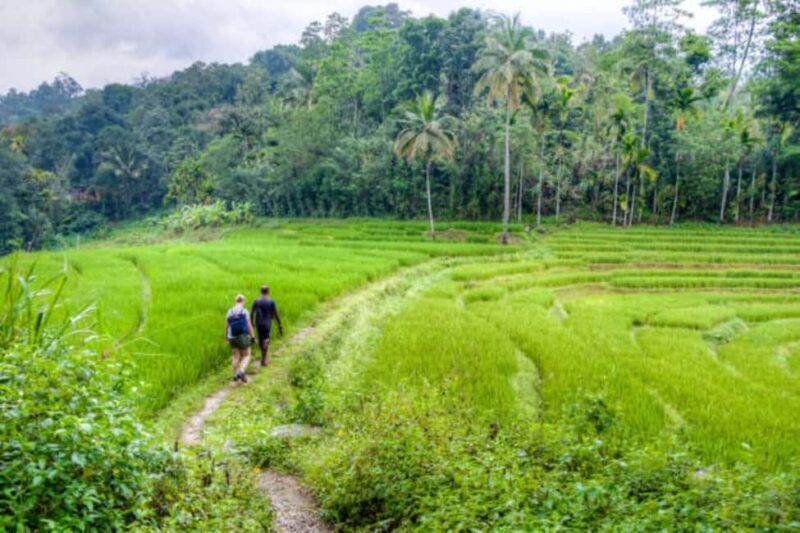Kandy: Traditional Village Tour with Authentic Experience - FAQ  