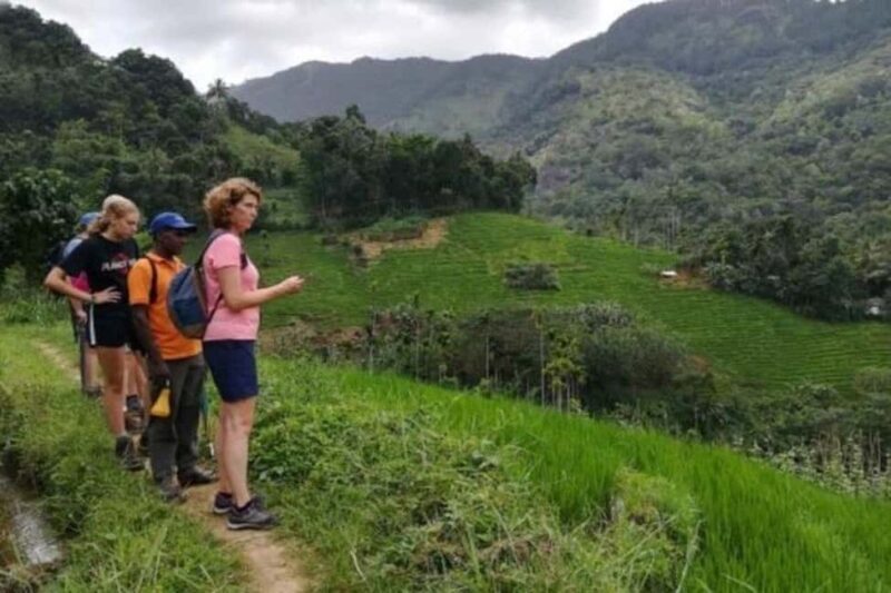 Kandy: Traditional Village Tour with Authentic Experience - Practical Details and Considerations