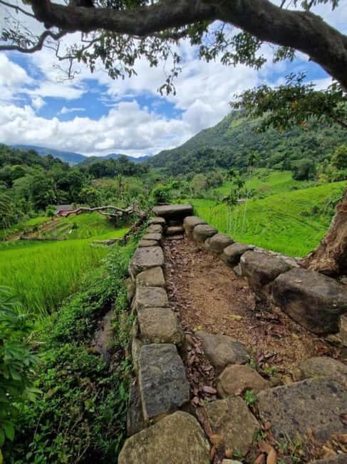 Kandy: Traditional Village Tour with Authentic Experience - Why This Tour Works